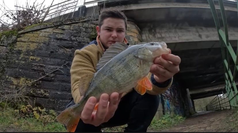 Aspe & Street Fishing